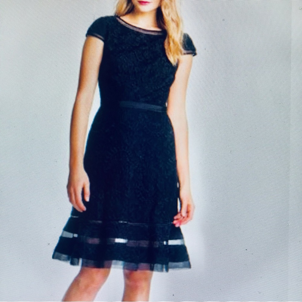 Adrianna Papell Lace Fit and Flare Midnight Blue Dress Cap Sleeve Size 2